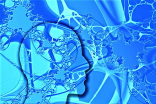 米兰体育官方网站APP下载-中国足球不同战术体系试验数据，国足战术风格