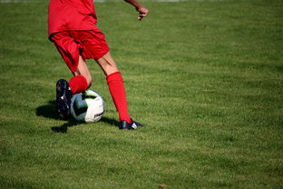 米兰全站app登录app-篮球运动员心理素质测评体系构建，篮球运动员心理素质的重要性